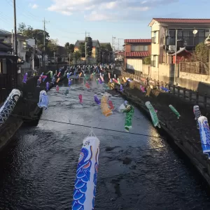 蔵の街の鯉のぼり🎏！！のサムネイル