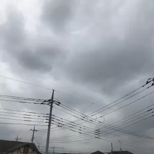 梅雨入りしましたね🌂のサムネイル