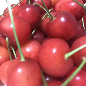 季節のものを🍒のサムネイル